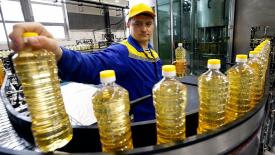 Аналитики оценили экспортную пошлину на подсолнечное масло в РФ в июле